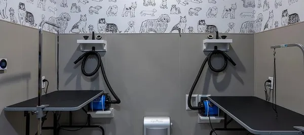 a view of an chairs and a table in the patio