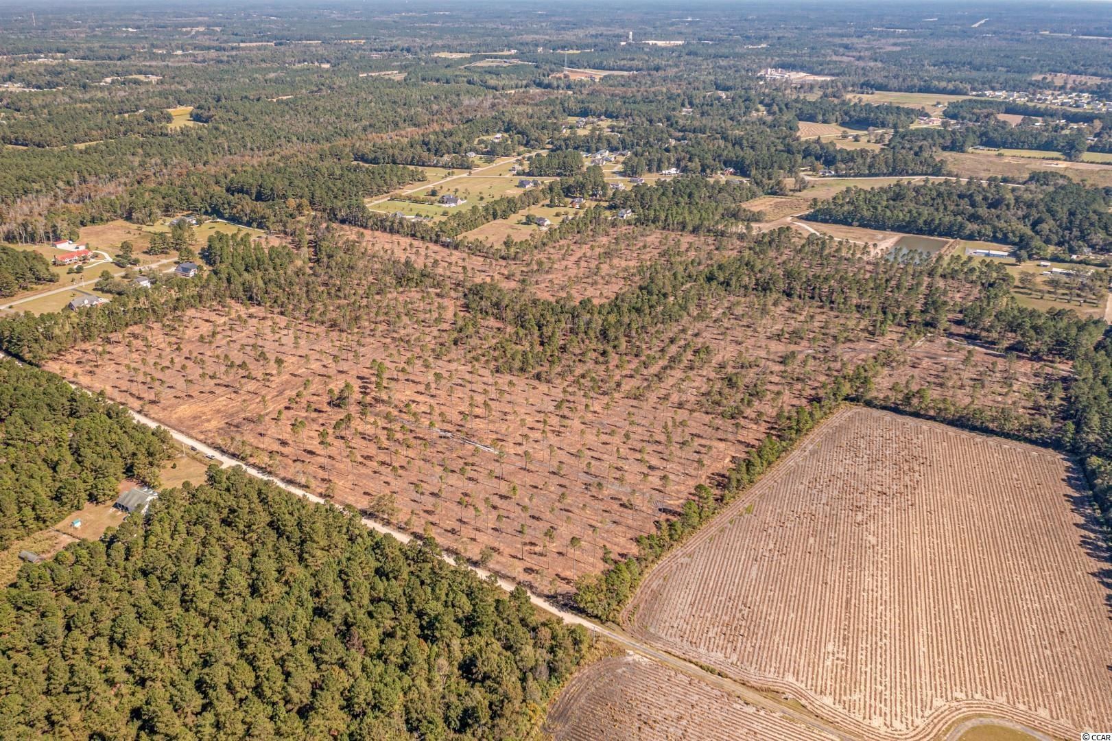 2 Manchester Ranch Place Aynor, SC 29511 - Photo 11 of 39 Gallery Image 11