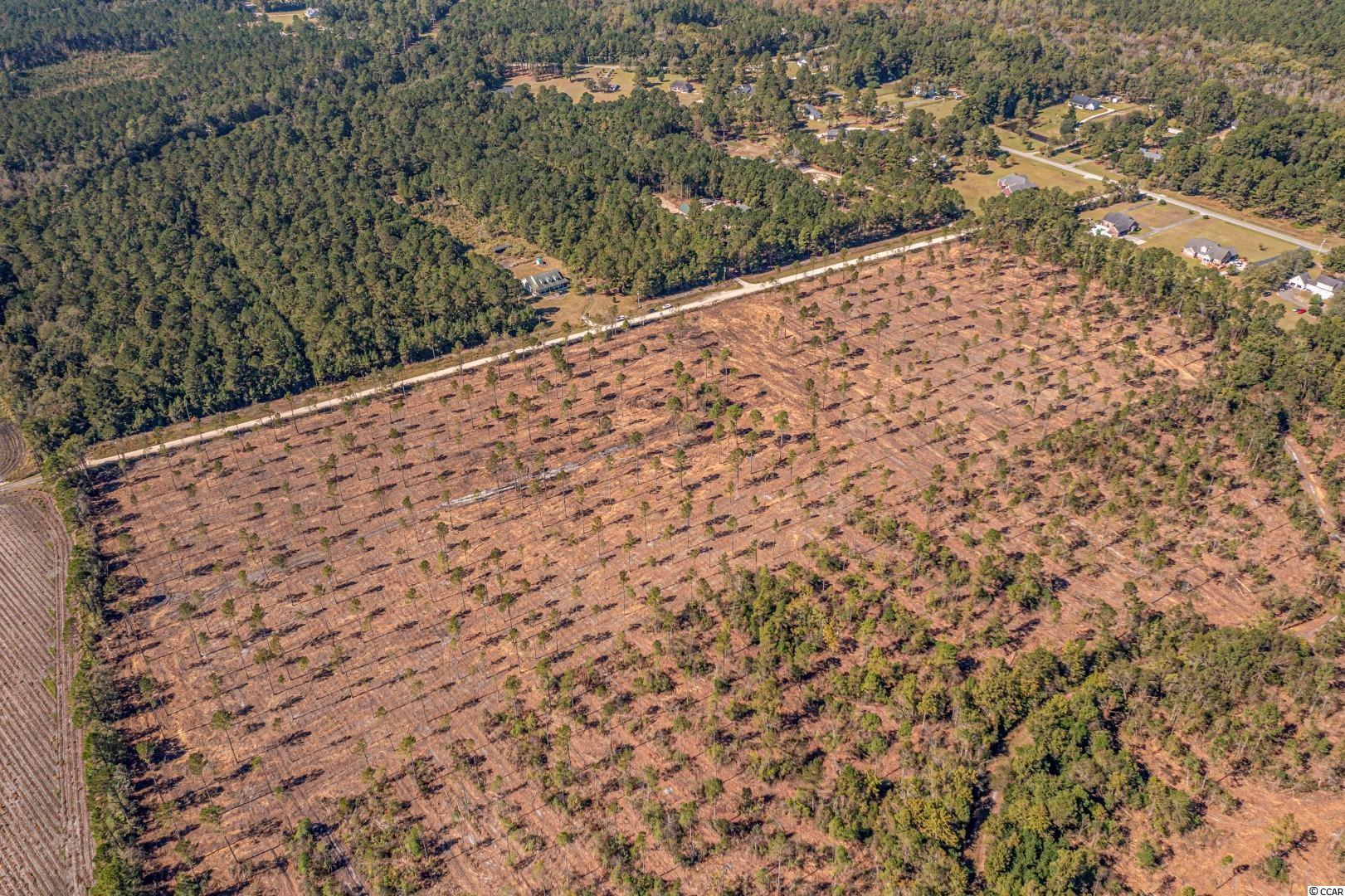 2 Manchester Ranch Place Aynor, SC 29511 - Photo 19 of 39 Gallery Image 19