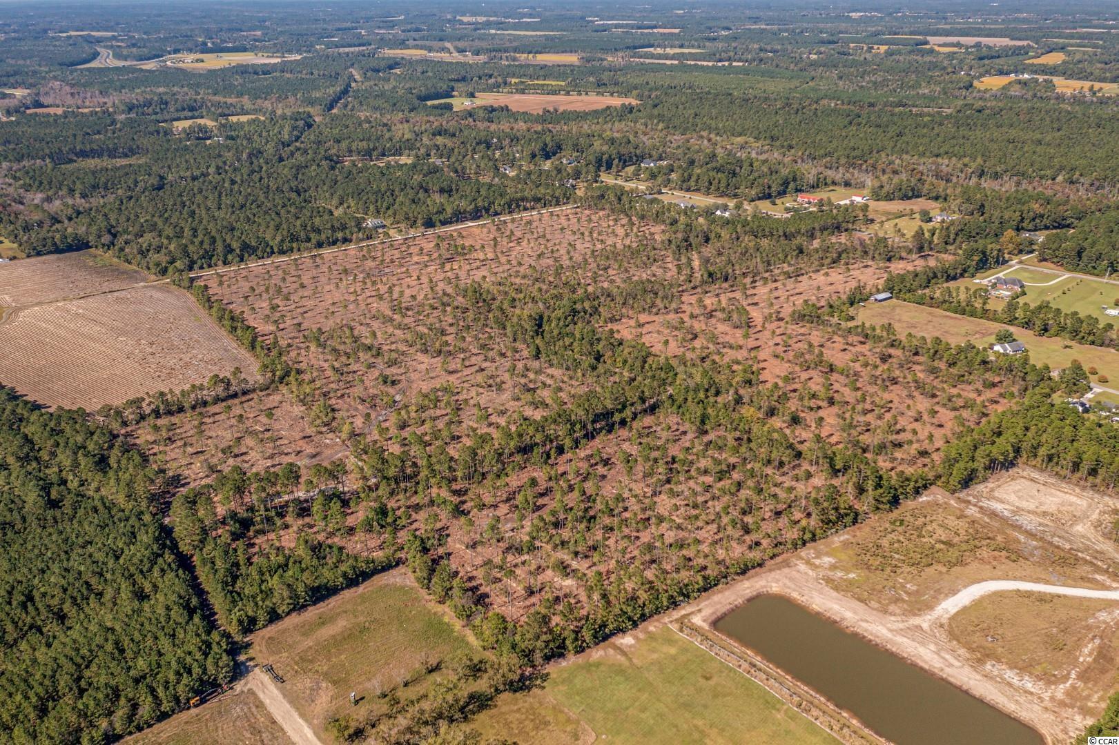 2 Manchester Ranch Place Aynor, SC 29511 - Photo 23 of 39 Gallery Image 23