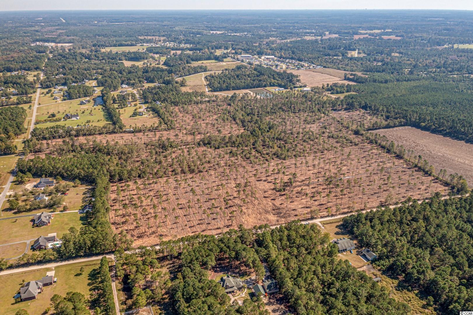 2 Manchester Ranch Place Aynor, SC 29511 - Photo 25 of 39 Gallery Image 25