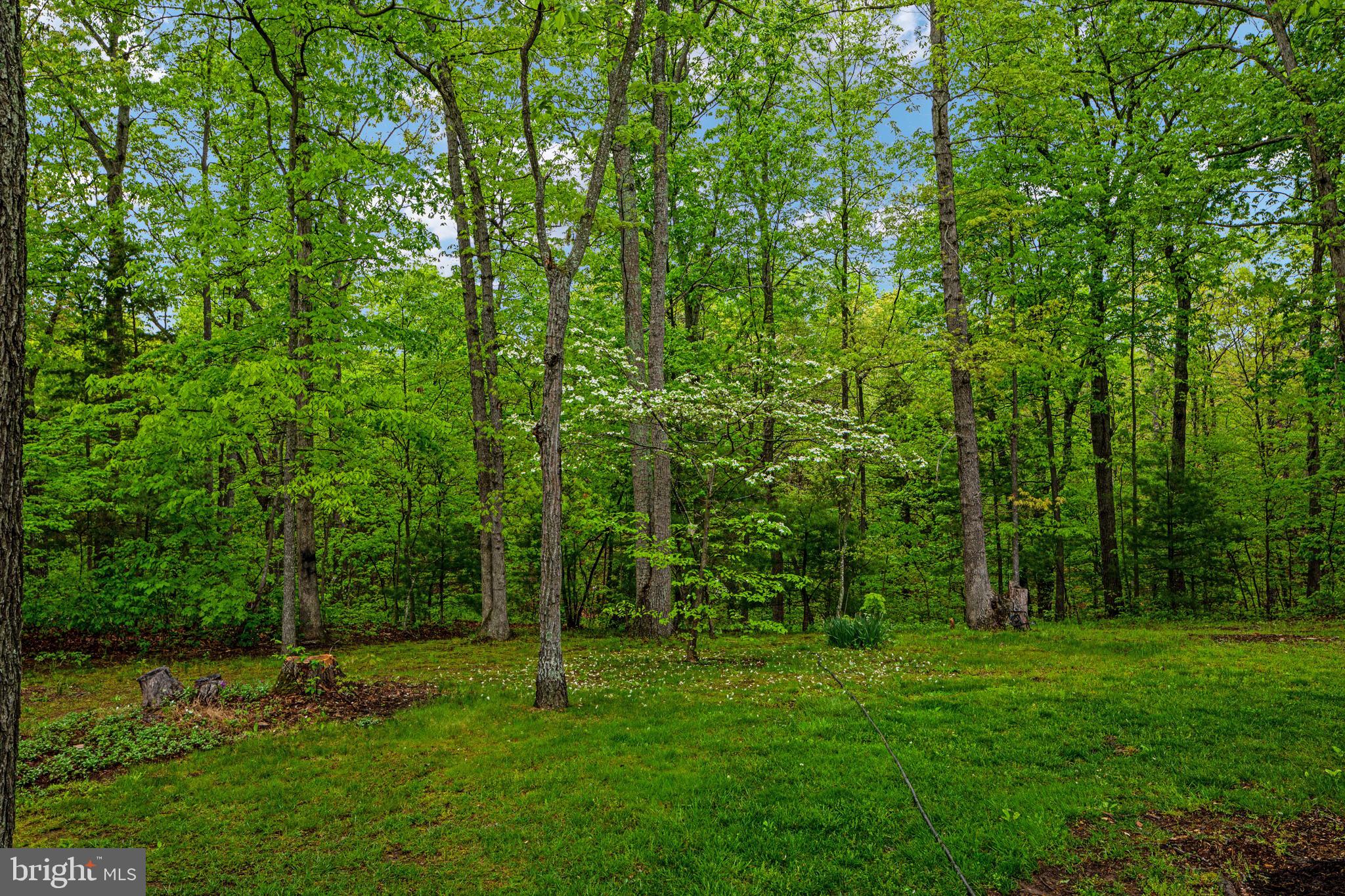 416 Boliver Road Fort Valley, VA 22652 - Photo 48 of 49