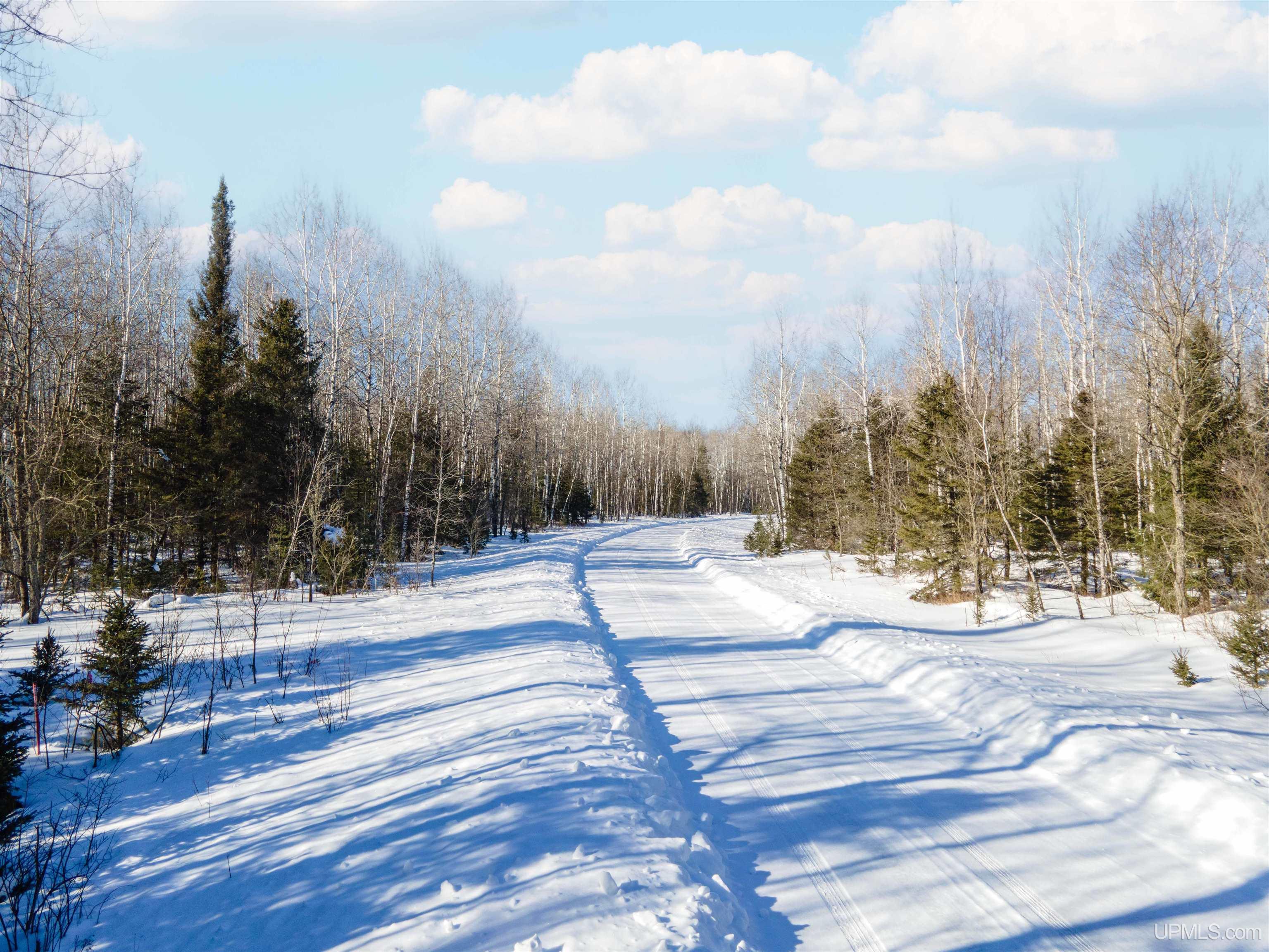 Lot 30 River Country Road Crystal Falls, MI 49920 - Photo 1 of 8