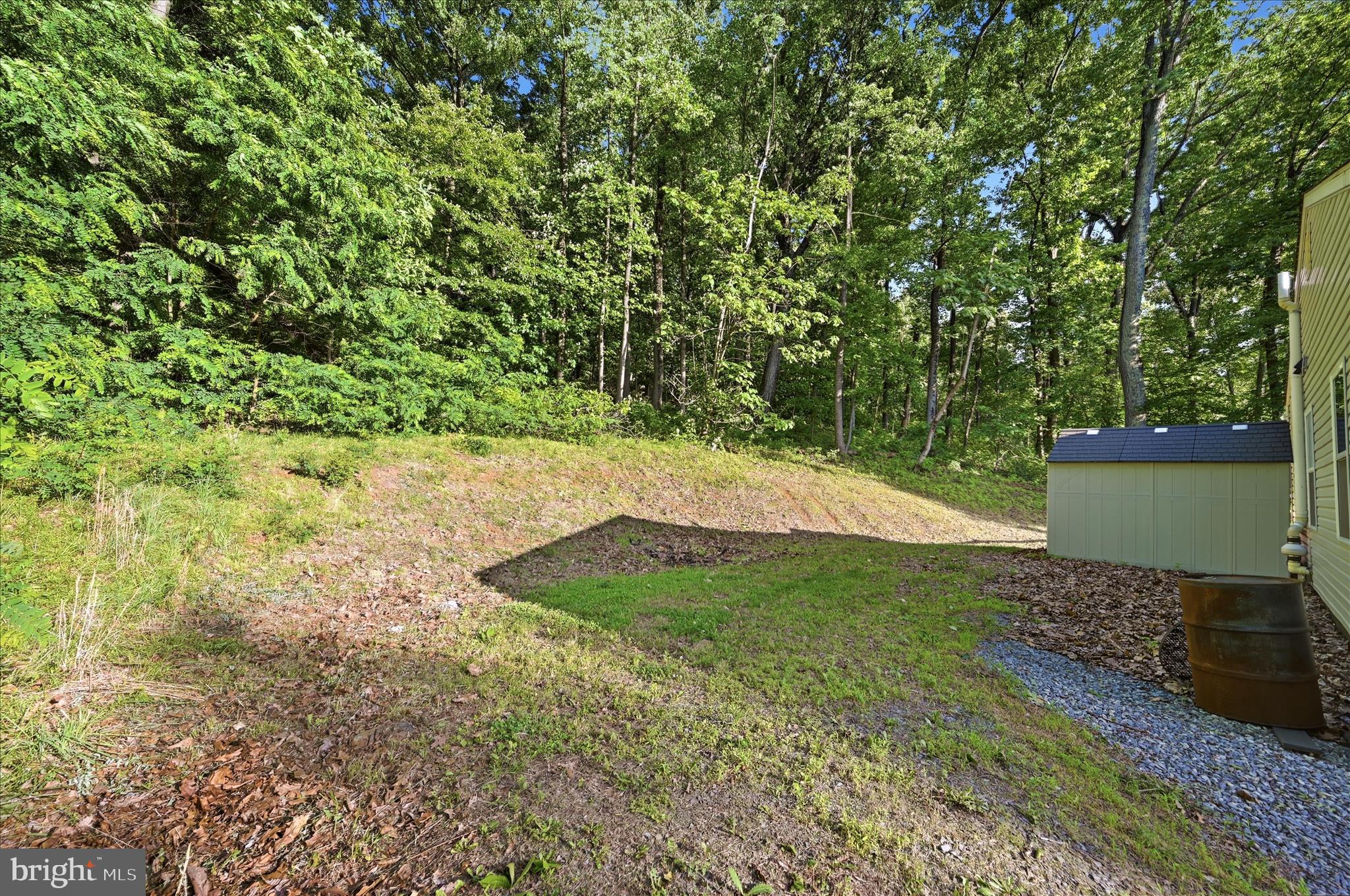 500 Delicious Road Linden, VA 22642 - Photo 39 of 80 a view of a backyard