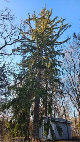 $200,000 | 5920 Hodgson Road, Shoreview, MN 55126