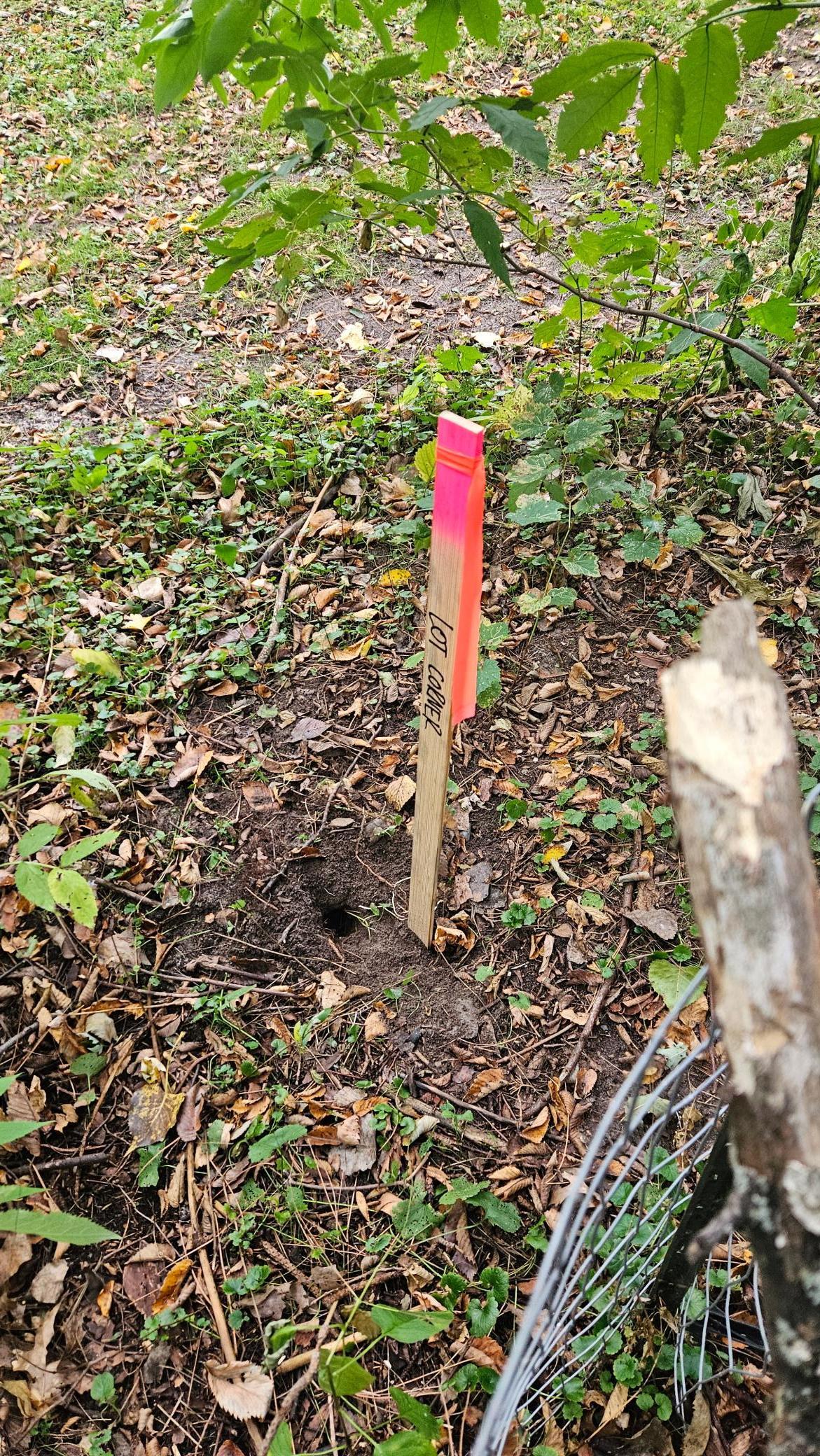 5920 Hodgson Road Shoreview, MN 55126 - Photo 4 of 7