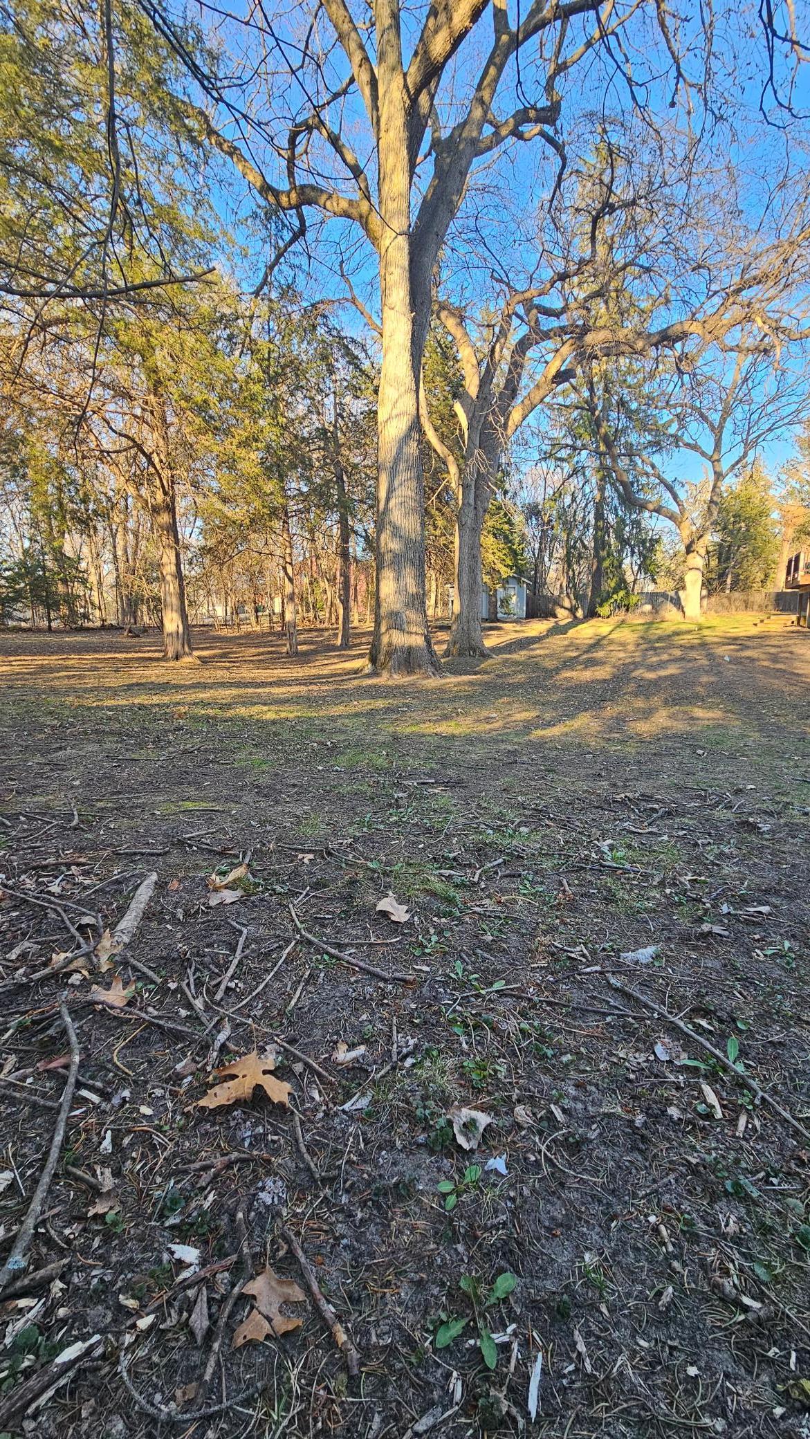 5920 Hodgson Road Shoreview, MN 55126 - Photo 6 of 7