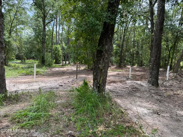 a view of a yard with trees