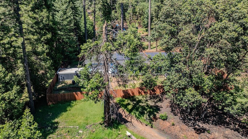 27325 Barton Road Pioneer, CA 95666 - Photo 53 of 62