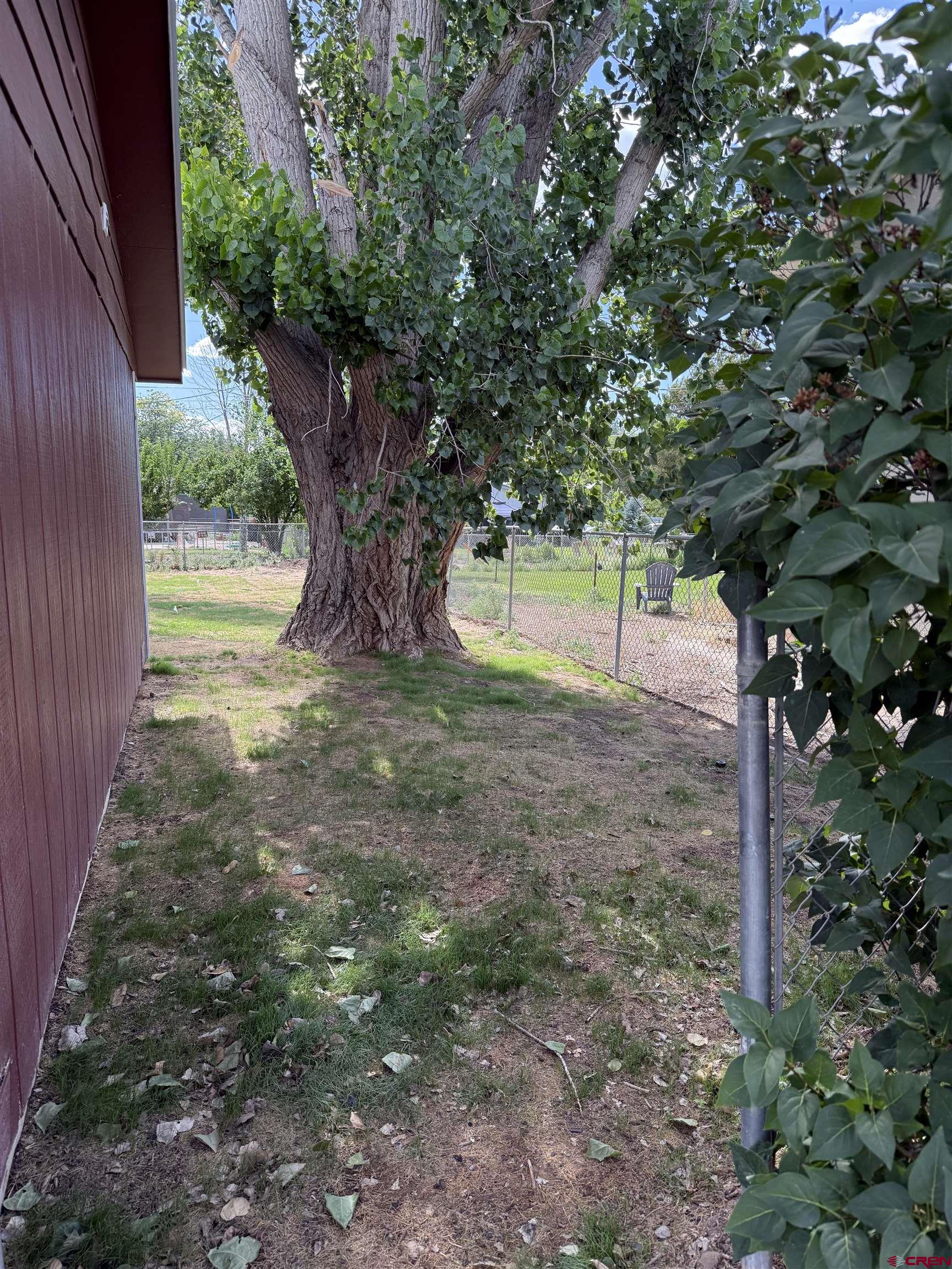 525 Sloan Street Delta, CO 81416 - Photo 25 of 26 a view of a yard with plants and tree