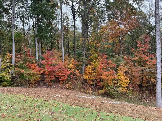 a view of outdoor space