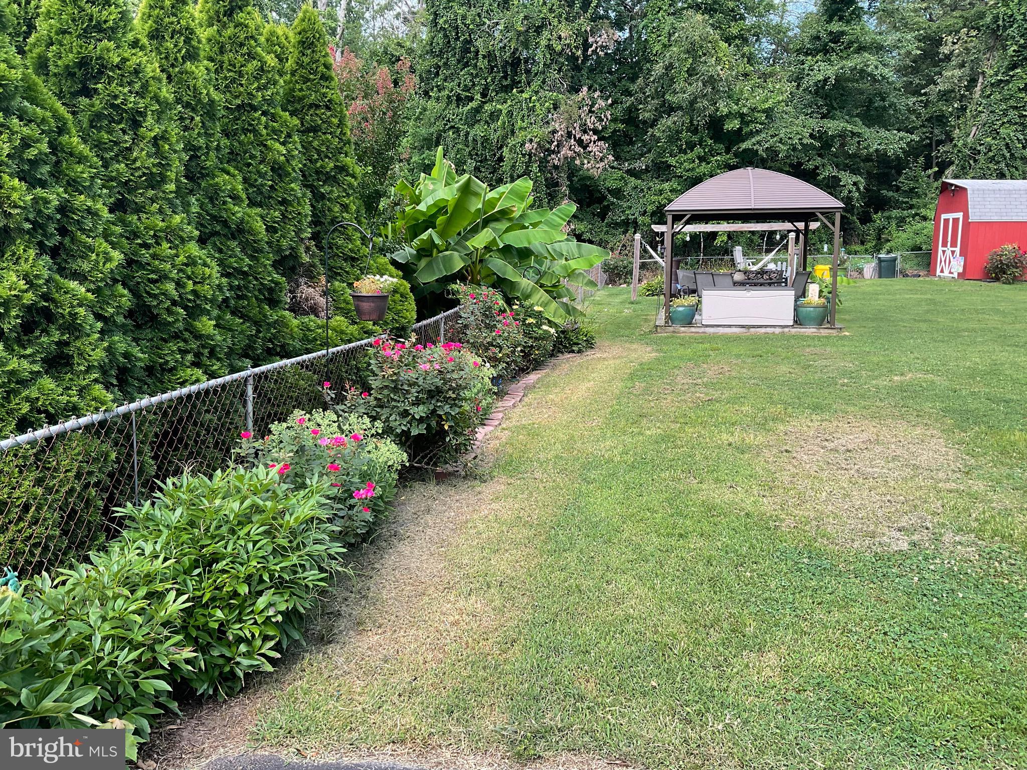 142 Magothy Beach Road Pasadena, MD 21122 - Photo 54 of 57 Lots of plantings