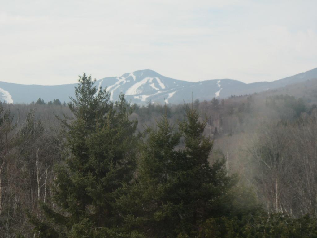 355 Moon Ridge Road, Unit 1A Killington, VT 05751 - Photo 25 of 26 Gallery Image 25