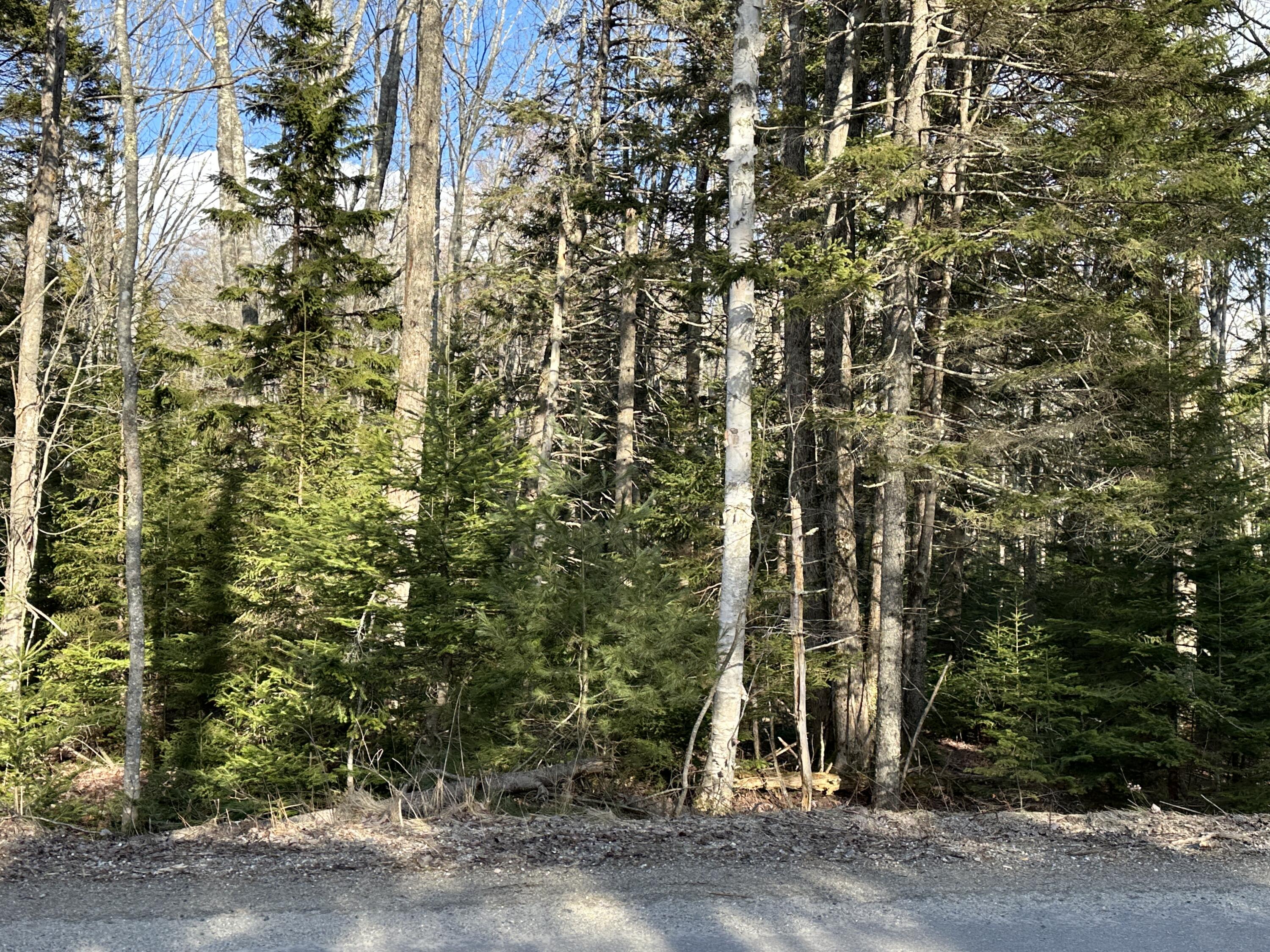 50 Cline Road St. George, ME 04859 - Photo 15 of 21 14