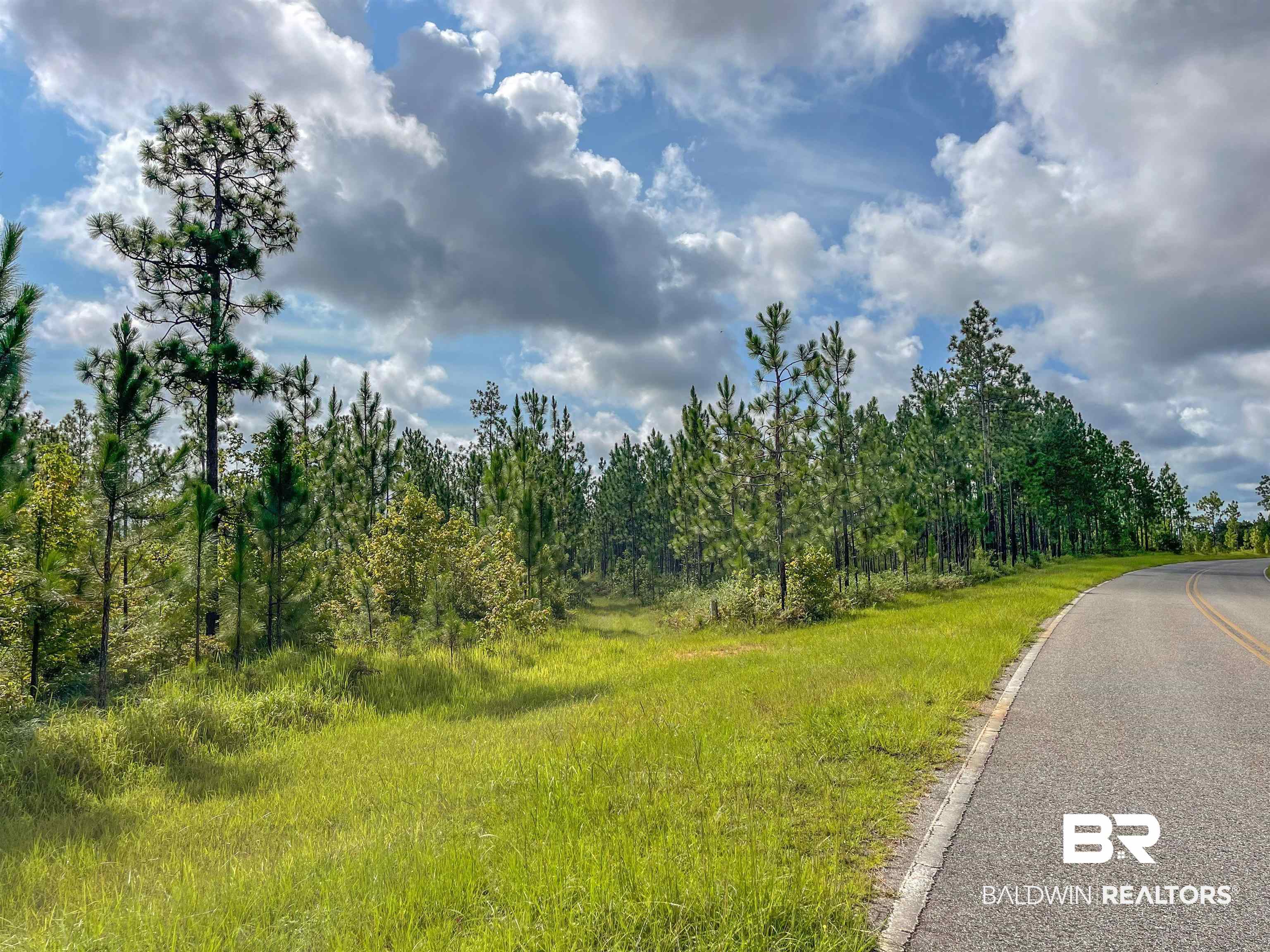 0 Robert White Road Perdido, AL 36562 - Photo 2 of 6