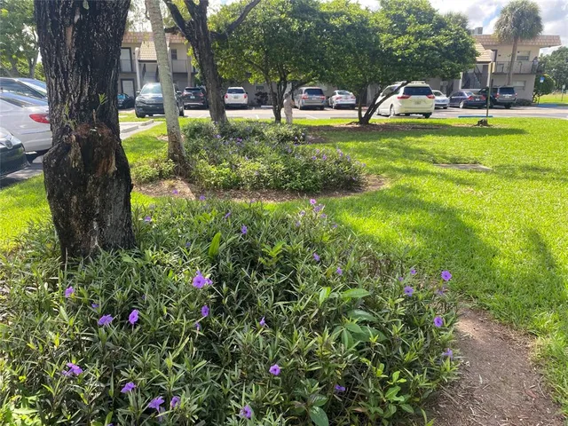 a view of a park with large trees