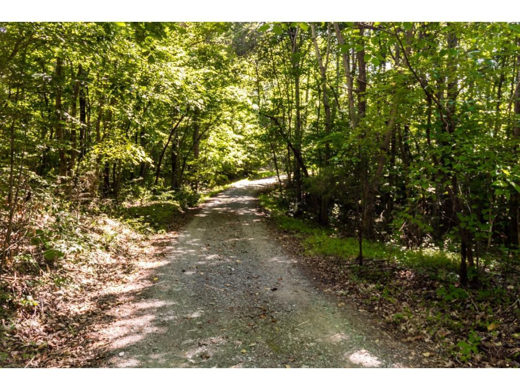 4231 Clapp Mill Road Burlington, NC 27215 - Photo 5 of 24 Gallery Image 5