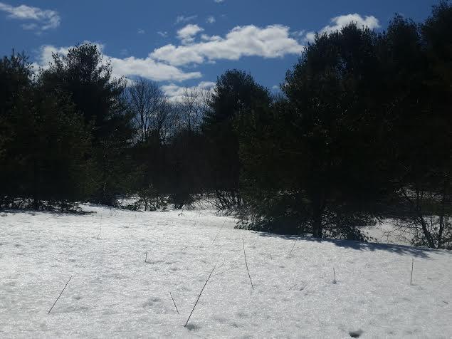 206 Stream Road Winterport, ME 04496 - Photo 5 of 5 Photo