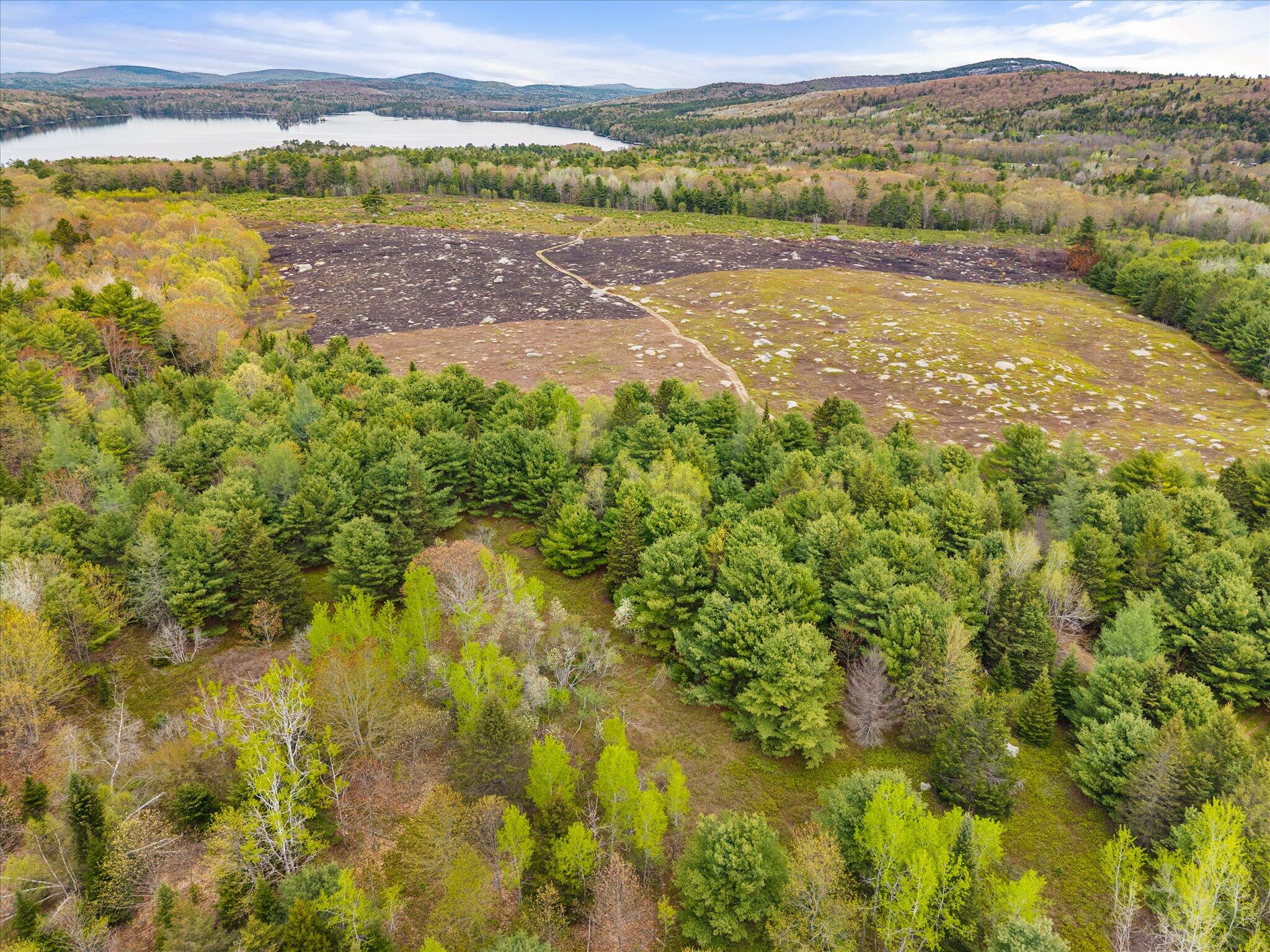 6 Map Road Orland, ME 04472 - Photo 21 of 22 Map 6, Lot 31 C Cedar Swamp Rd.