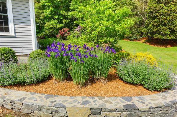 39 Flagg Road Southborough, MA 01772 - Photo 13 of 19 Gallery Image 13