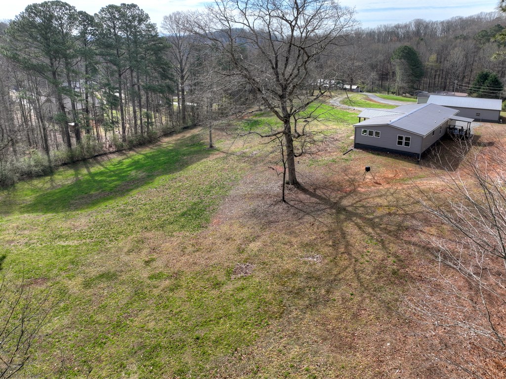 190 Burgess Road Ellijay, GA 30540 - Photo 4 of 52 Gallery Image 4
