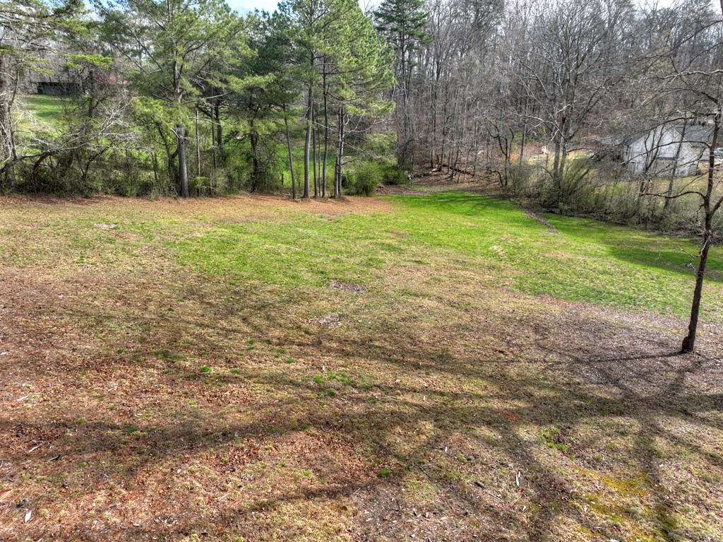 190 Burgess Road Ellijay, GA 30540 - Photo 44 of 52 Gallery Image 44