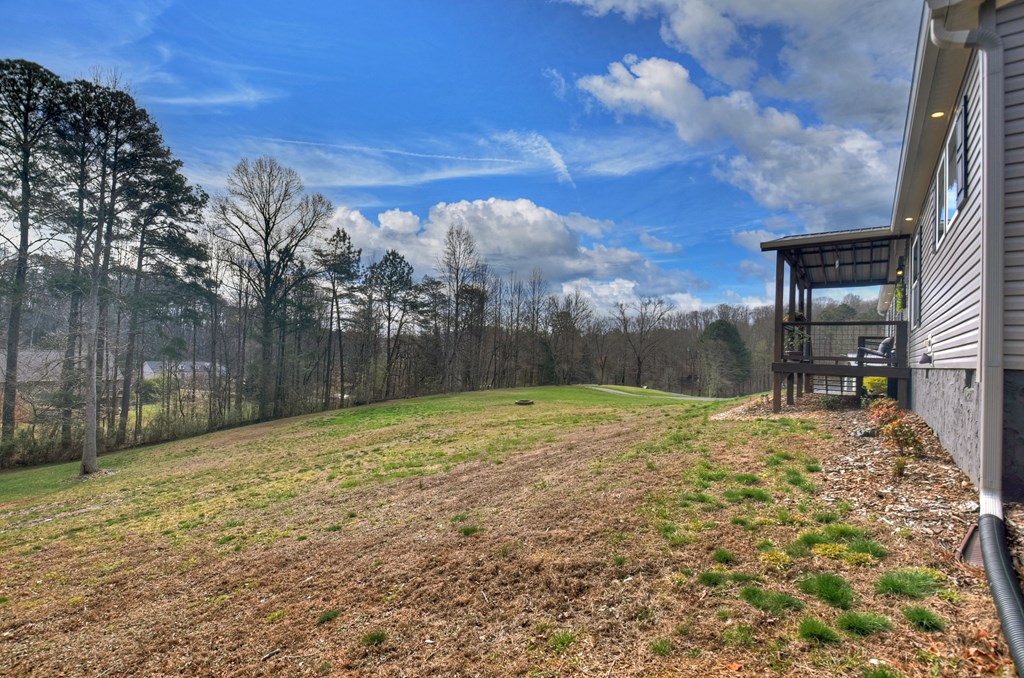 190 Burgess Road Ellijay, GA 30540 - Photo 46 of 52 Gallery Image 46