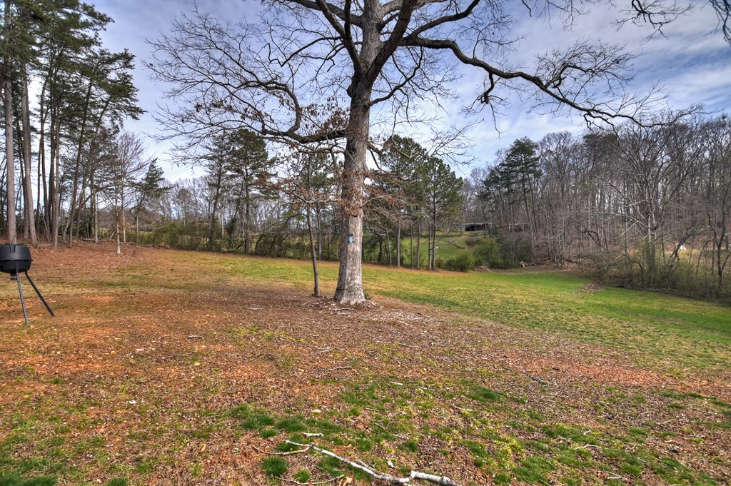 190 Burgess Road Ellijay, GA 30540 - Photo 47 of 52 Gallery Image 47