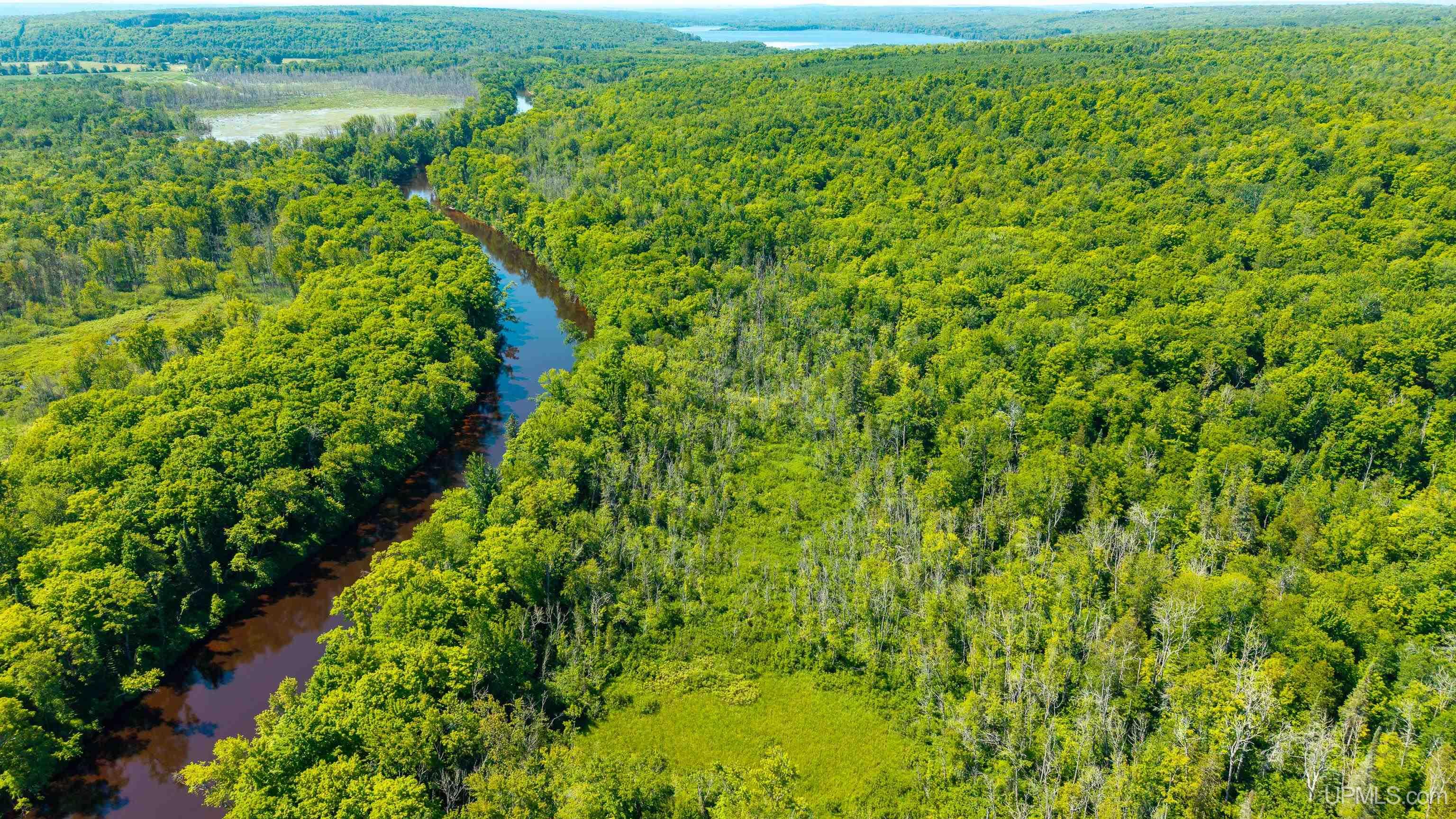 2006 Pike River Road Chassell, MI 49916 - Photo 44 of 52