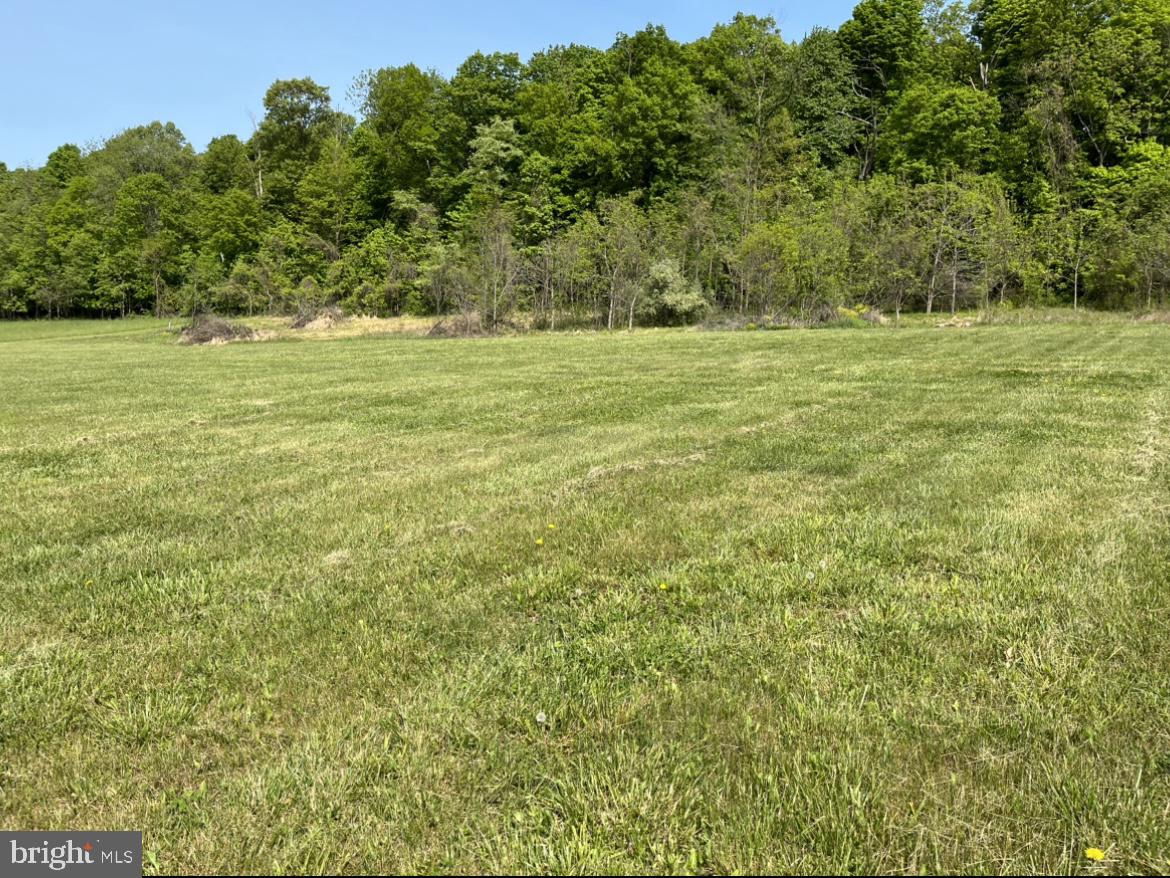 1293 Hidden Valley Road Loysville, PA 17047 - Photo 5 of 7