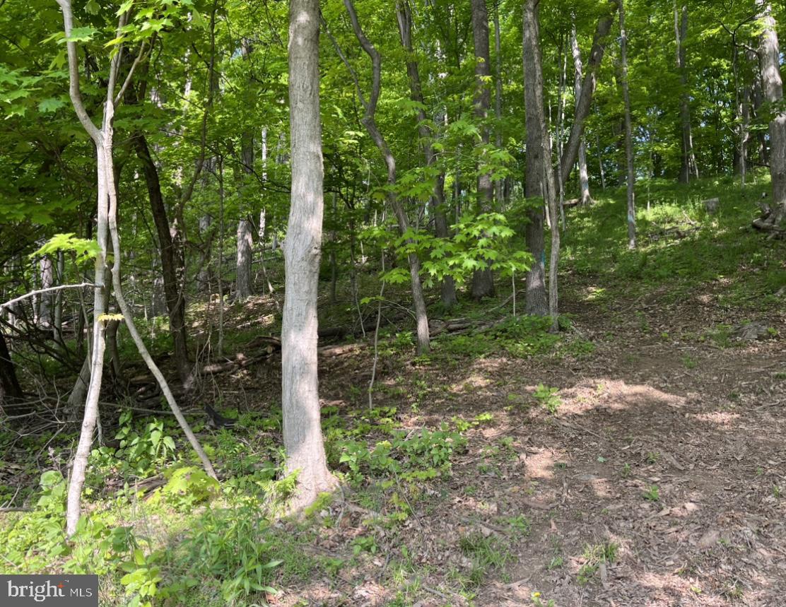 1293 Hidden Valley Road Loysville, PA 17047 - Photo 6 of 7