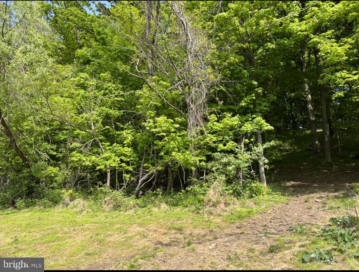 1293 Hidden Valley Road Loysville, PA 17047 - Photo 7 of 7