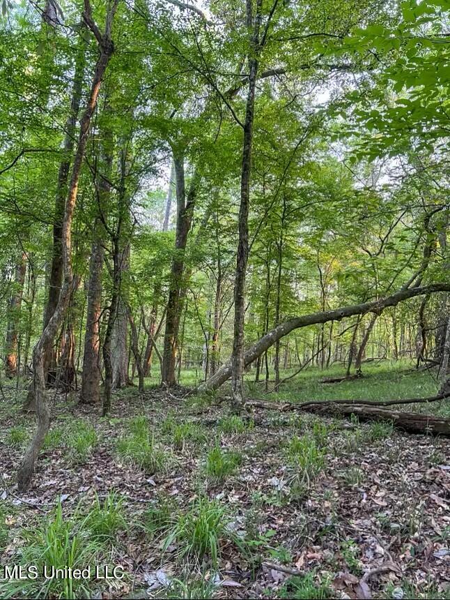 0 Ashley Road Brandon, MS 39042 - Photo 14 of 19 D89681AF-ED78-451C-91E9-FC49EF6690D0