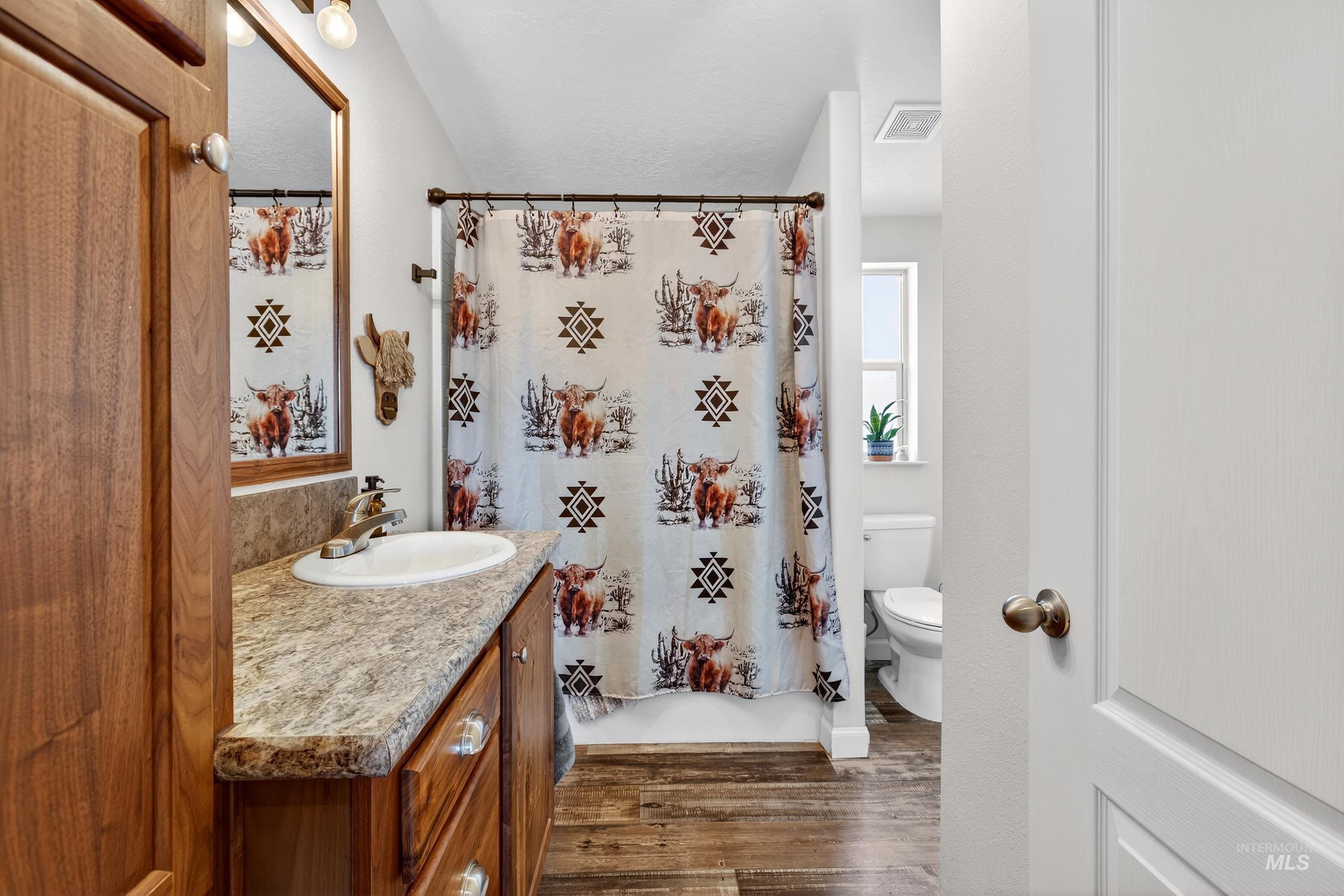 728 Chase Lane Melba, ID 83641 - Photo 31 of 48 Bathroom featuring vanity and dark wood finished floors