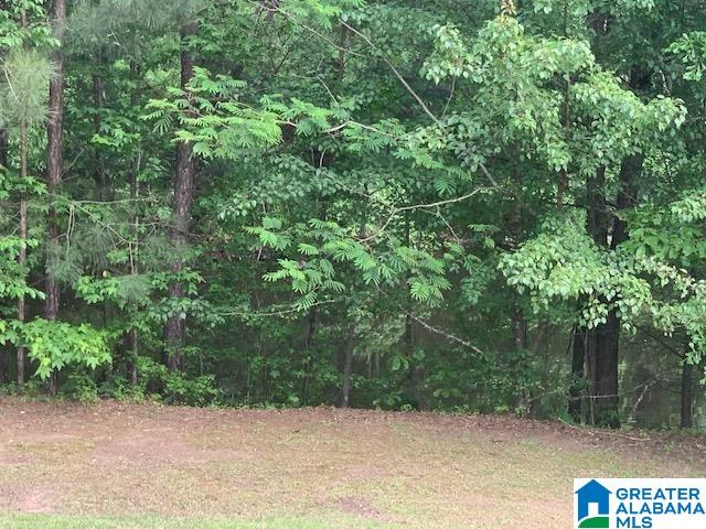 3335 Hilltop Road Southeast Bessemer, AL 35022 - Photo 6 of 7