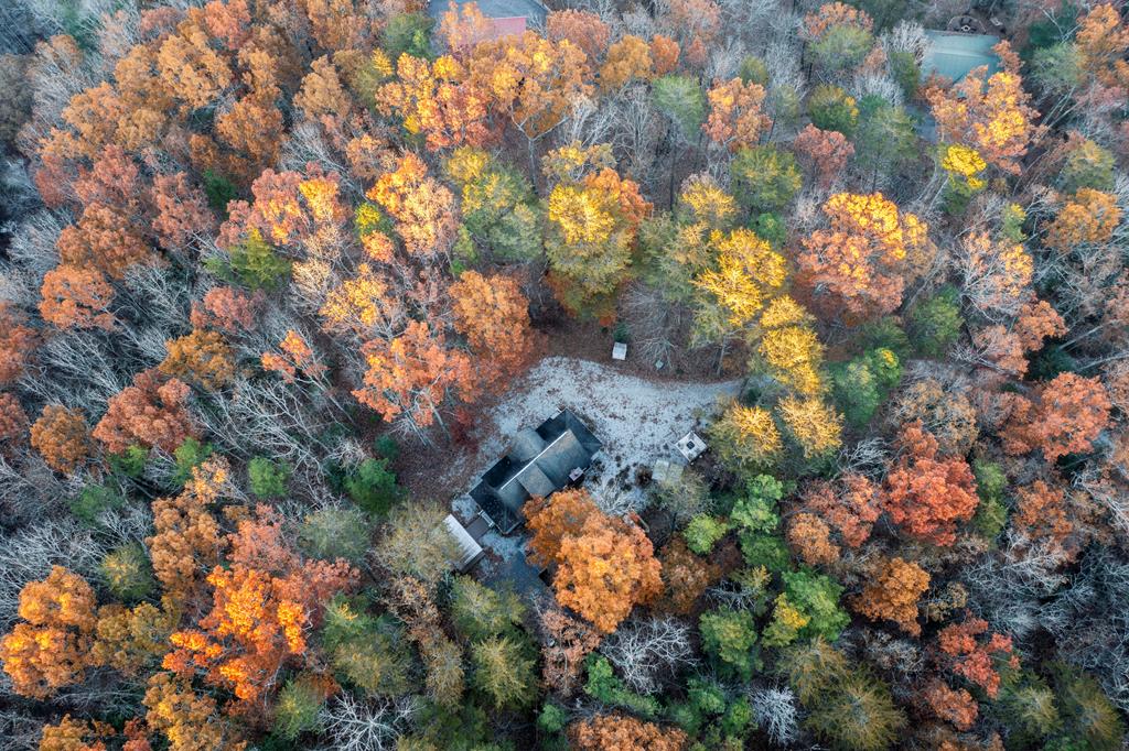 48 Timber Ridge Road Blue Ridge, GA 30513 - Photo 4 of 82