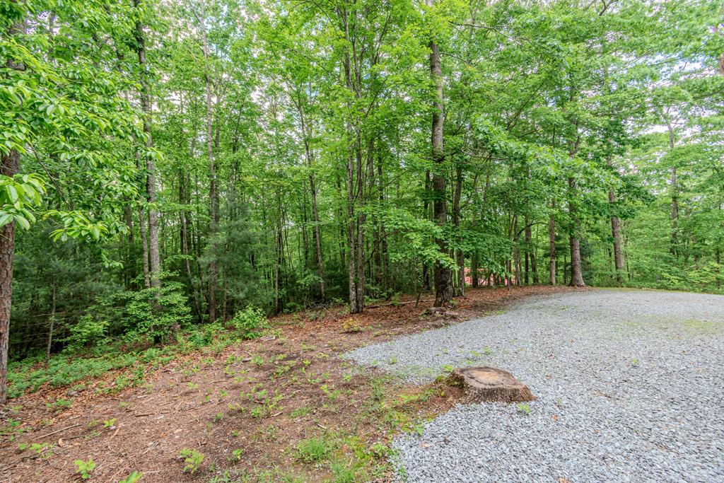 48 Timber Ridge Road Blue Ridge, GA 30513 - Photo 72 of 82