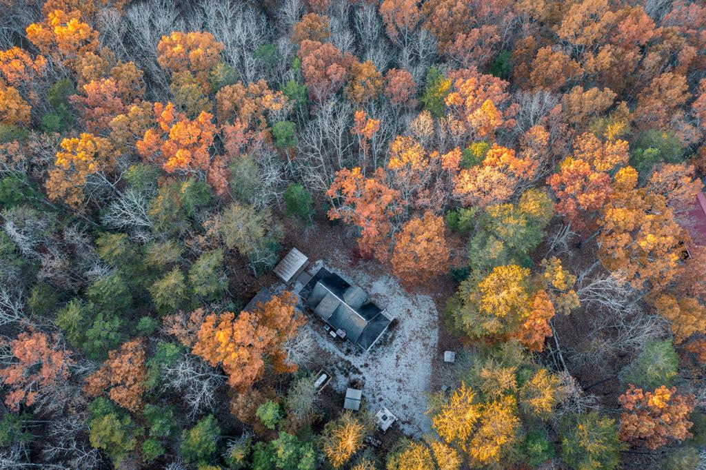 48 Timber Ridge Road Blue Ridge, GA 30513 - Photo 81 of 82