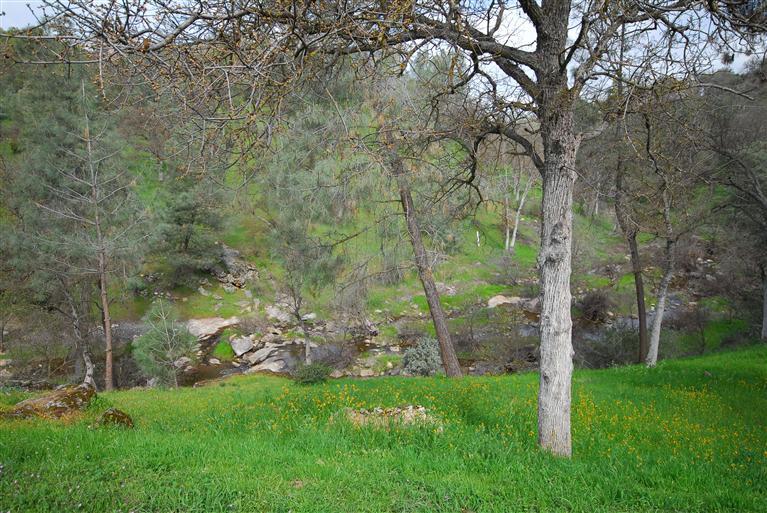 45834 Old Corral Road Coarsegold, CA 93614 - Photo 25 of 40 Gallery Image 25