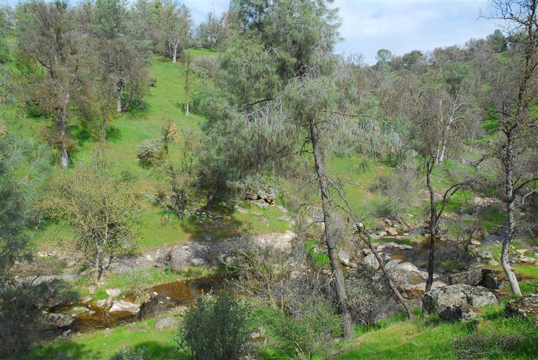 45834 Old Corral Road Coarsegold, CA 93614 - Photo 28 of 40 Gallery Image 28