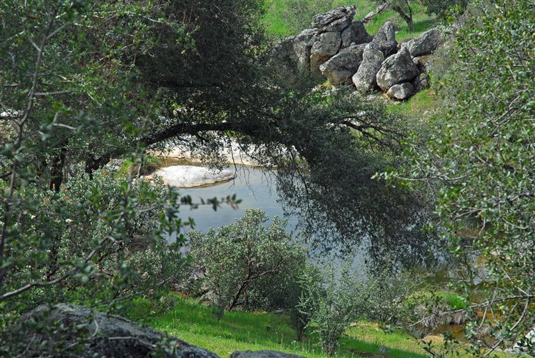 45834 Old Corral Road Coarsegold, CA 93614 - Photo 29 of 40 Gallery Image 29