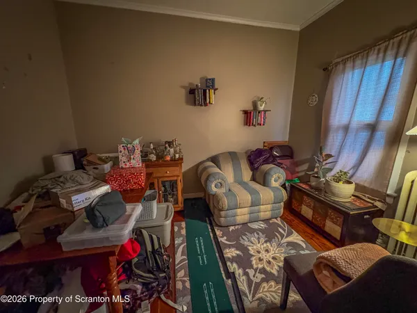 a room with furniture and a potted plant