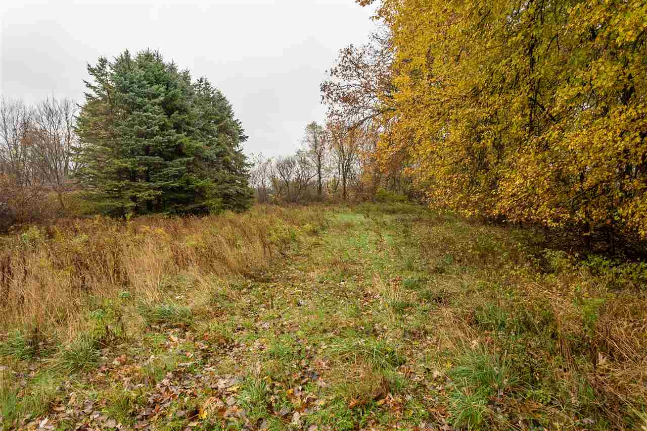 8413 South State Road Bancroft, MI 48414 - Photo 22 of 31