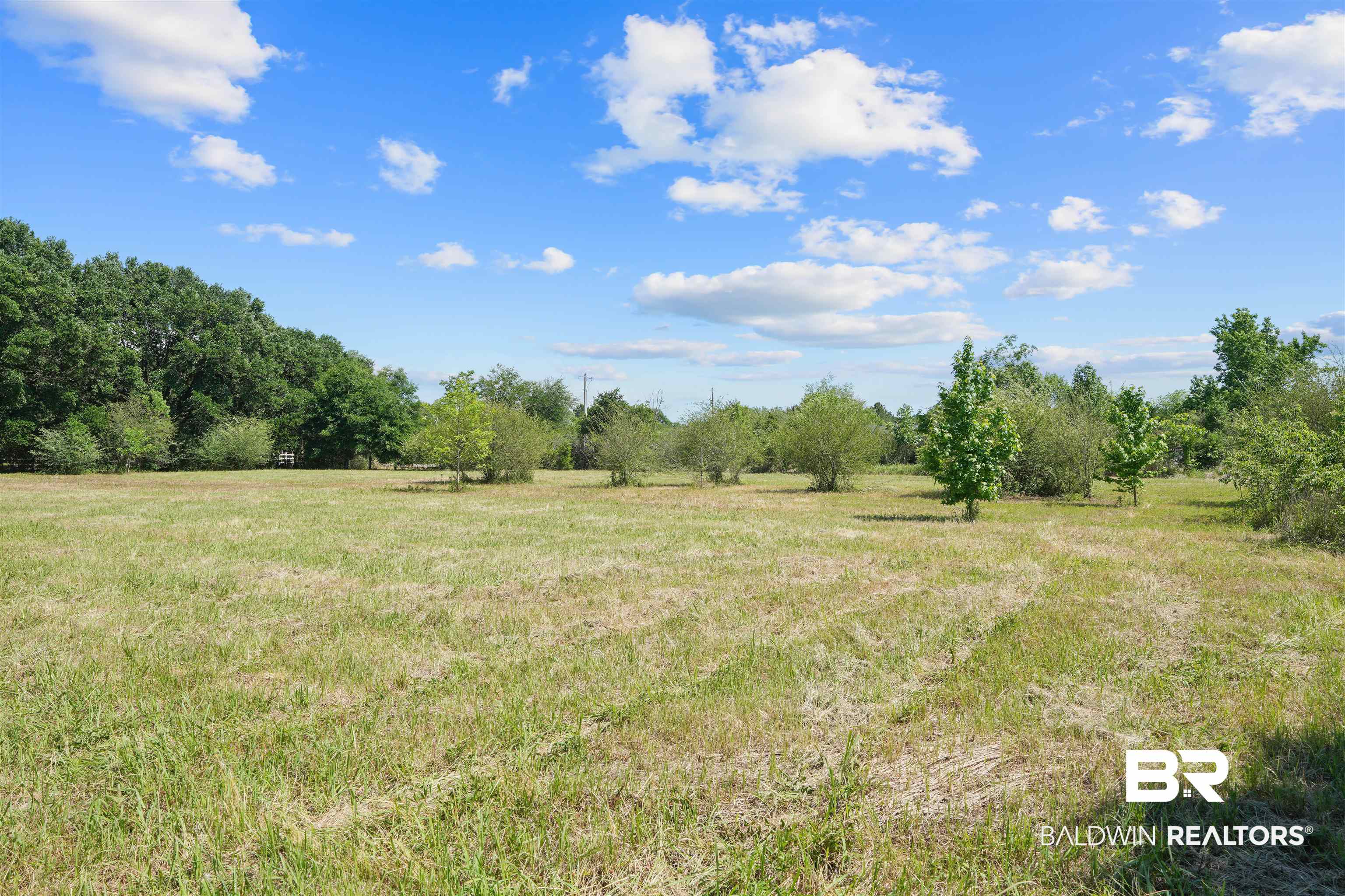 13733 White Road Silverhill, AL 36576 - Photo 8 of 26