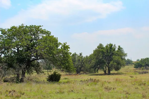 $169,000 | 180 Nantan Lane, Harper, TX 78631