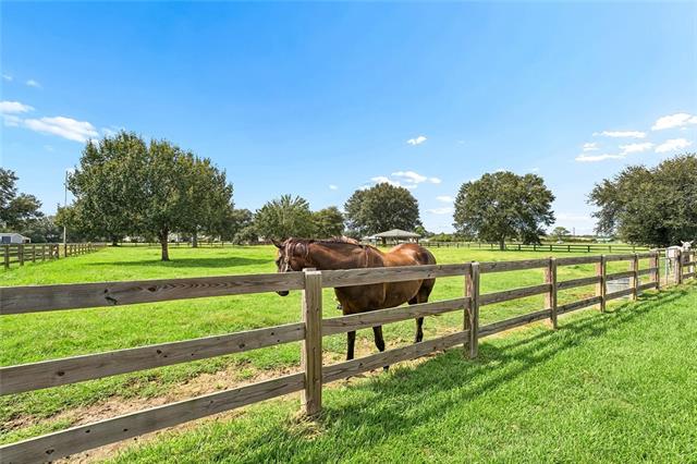50386 Turnpike Road Folsom, LA 70437 - Photo 33 of 57 Gallery Image 33