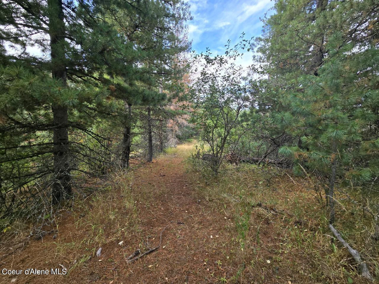 51833 Silver Valley Road Kellogg, ID 83837 - Photo 13 of 29 4426