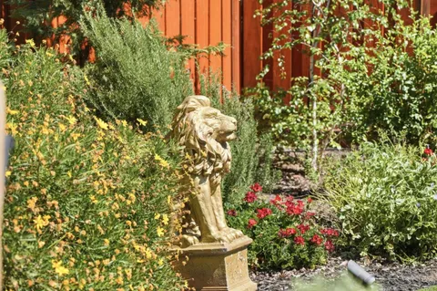 a view of yard