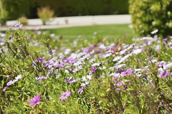 $1,189,000 | 533 Tigerwood Way, San Jose, CA 95111