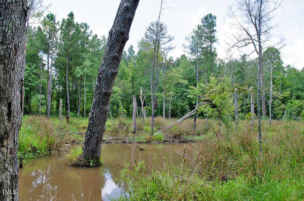 4070 Range Road Stem, NC 27581 - Photo 23 of 26 DSC_0045